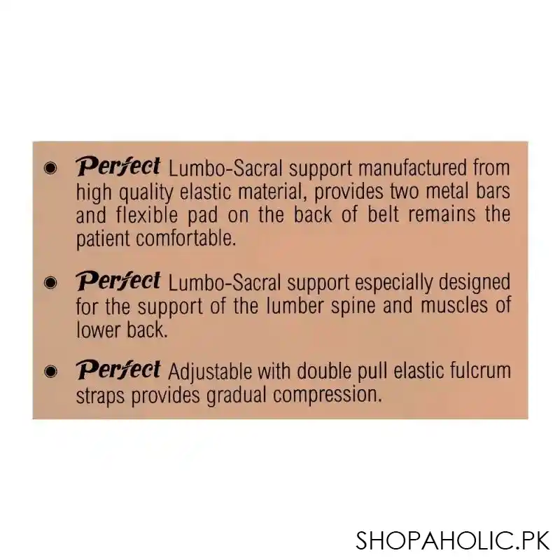 perfect lumbo sacral support, medium image4