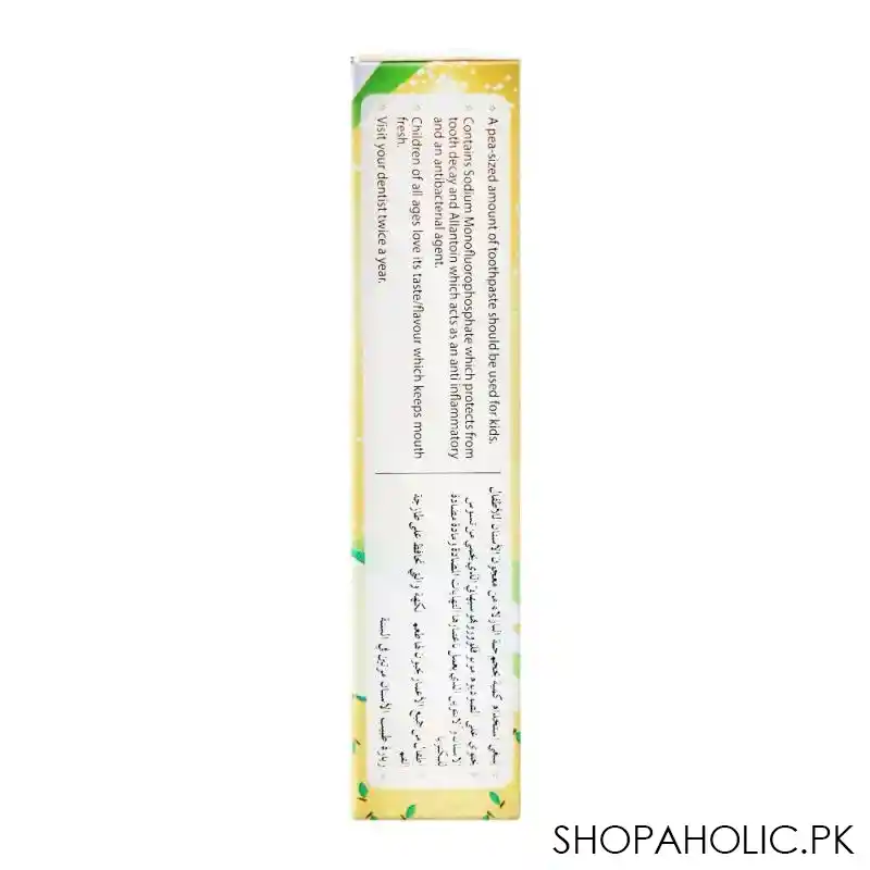 protect abc toothpaste, mango flavour, 60g image3