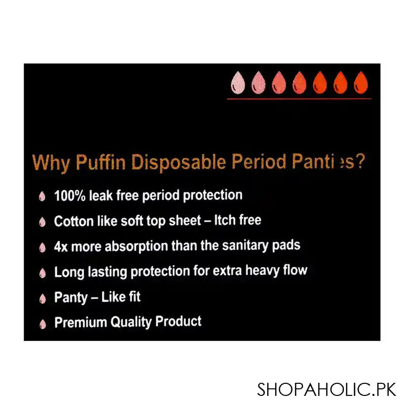 Puffin Premium Disposable Period Panty, M/L, 2-Pack - Image 6