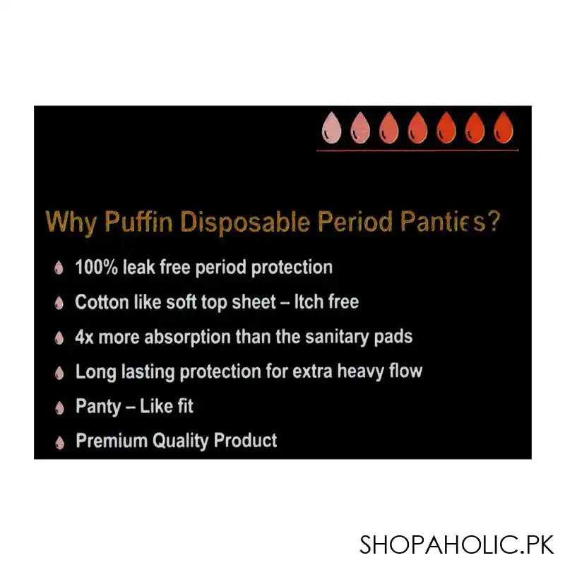 Puffin Premium Disposable Period Panty, XL, 2-Pack - Image 3