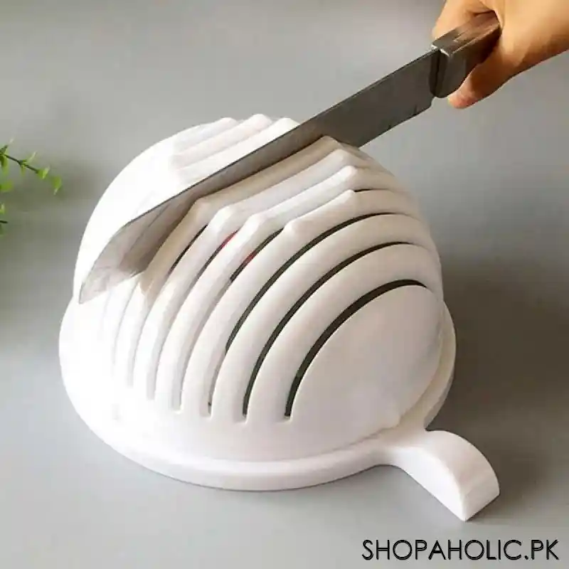 salad cutter bowl main image