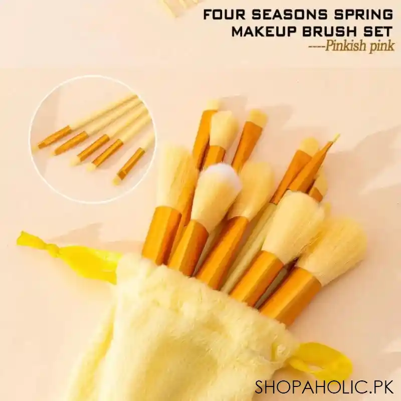 set of 13 spring makeup brush main image