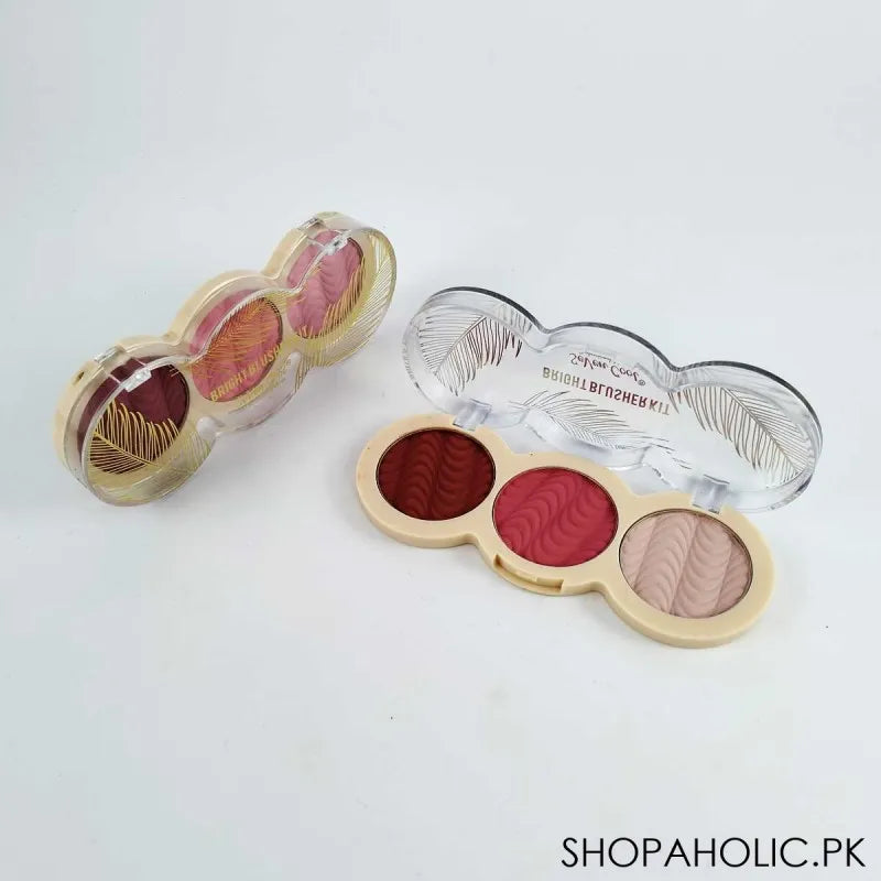 seven cool highlighter   blusher image3