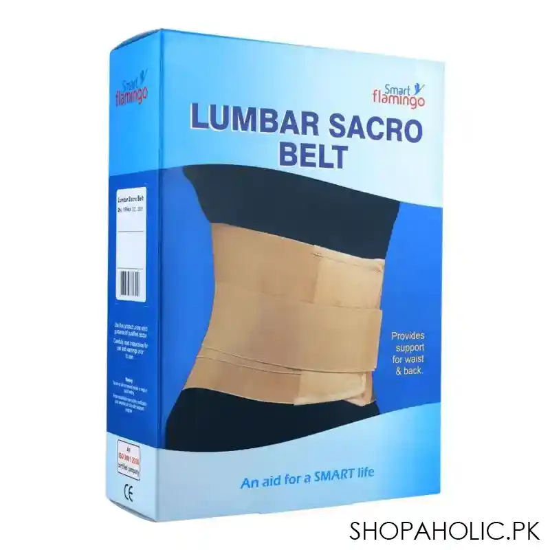 smart flamingo lumbar sacro belt, 2xl main image