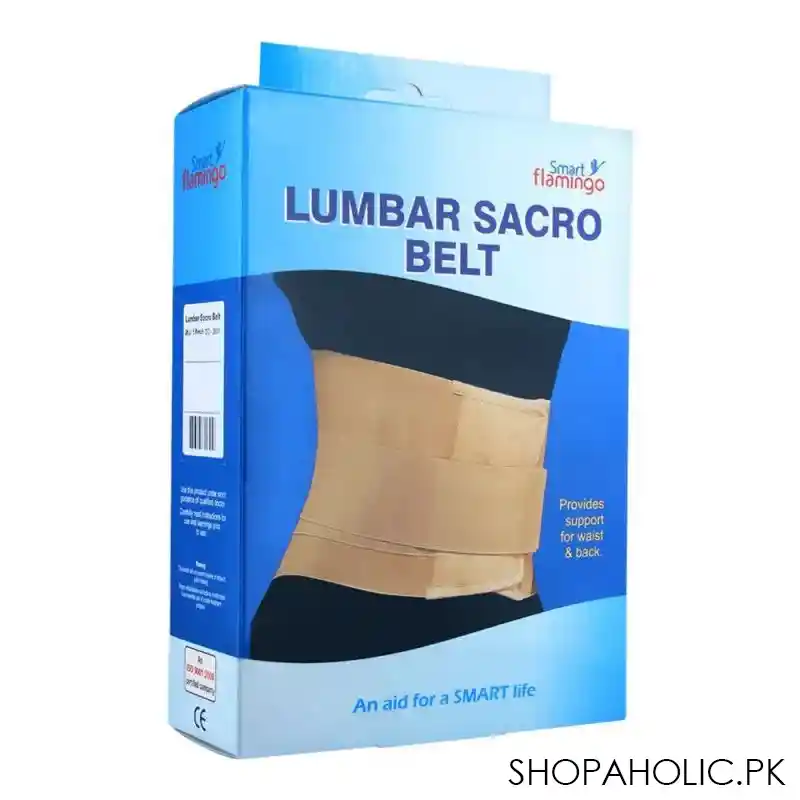 smart flamingo lumbar sacro belt, small main image