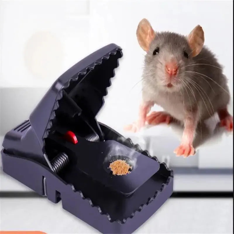 snap mouse trap main image