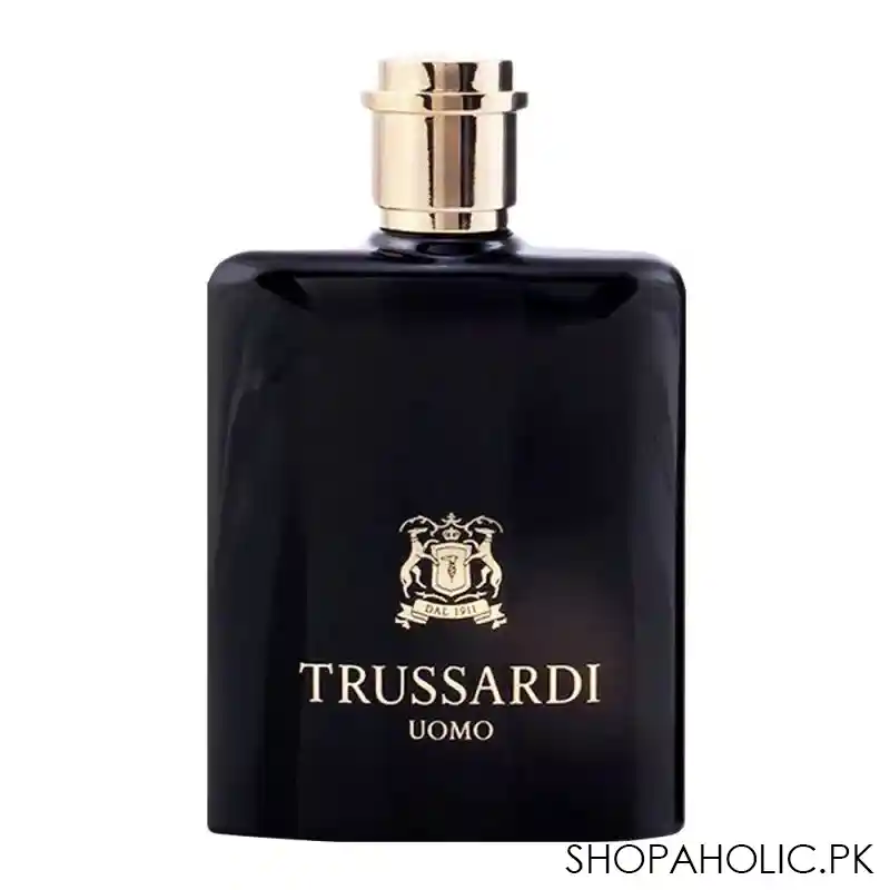 trussardi uomo eau de toilette 100ml main image