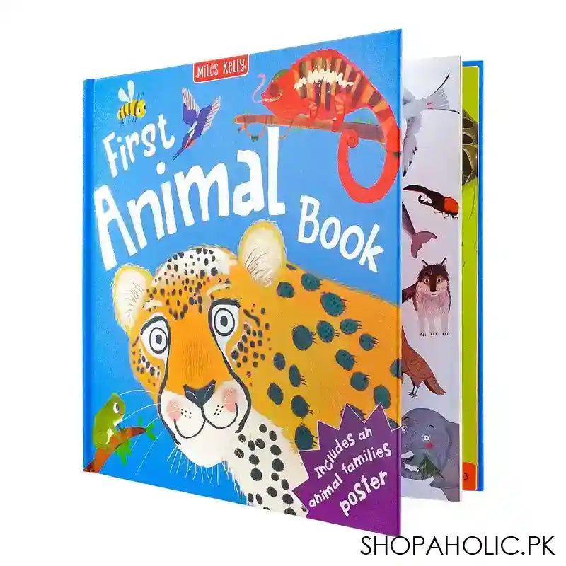 Usborne: First Animal, Book - Main Image