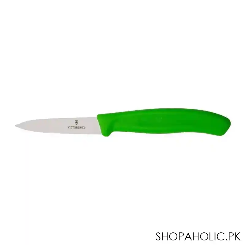 victorinox swissclassic paring knife 6.7606 main image