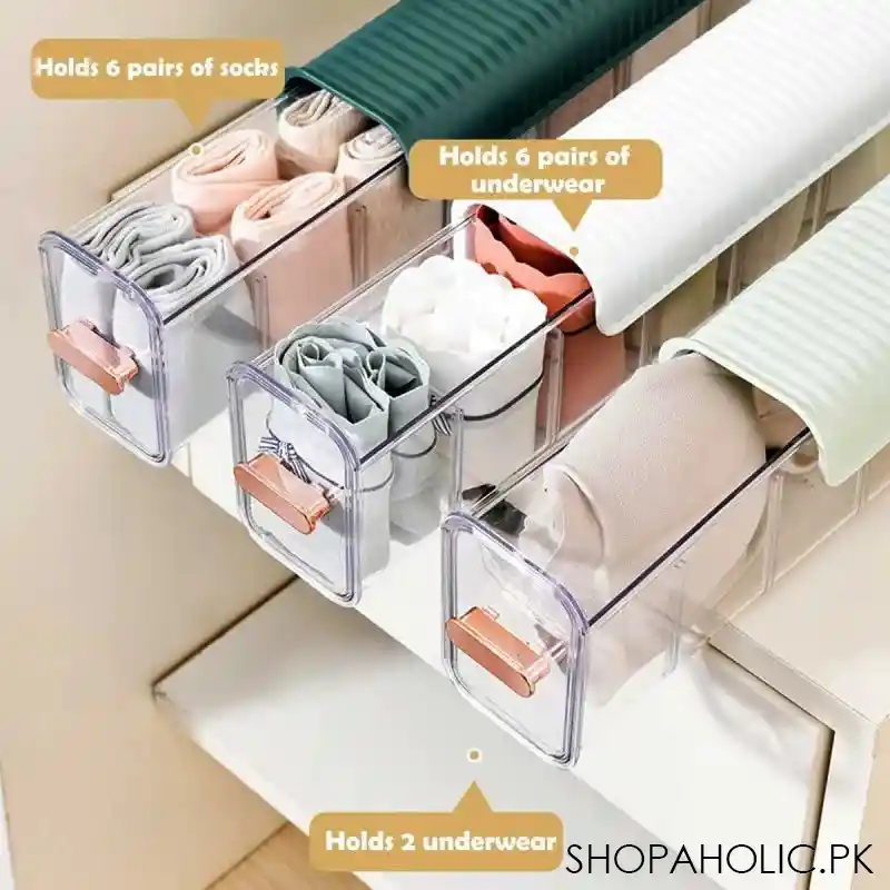 wall hanging transparent undergarments storage box organizer image4