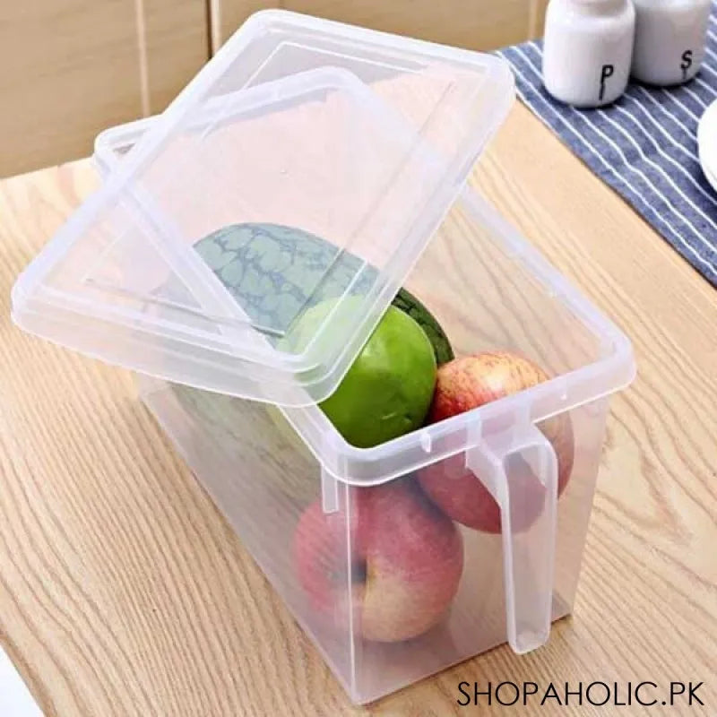 Buy 2 Grid Plastic Food Storage Container Online at Best Price in Pakistan