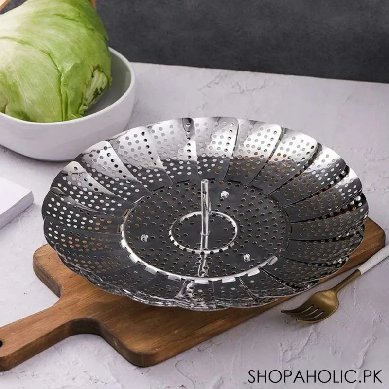 Buy Collapsible Stainless Steel Steamer Price in Pakistan