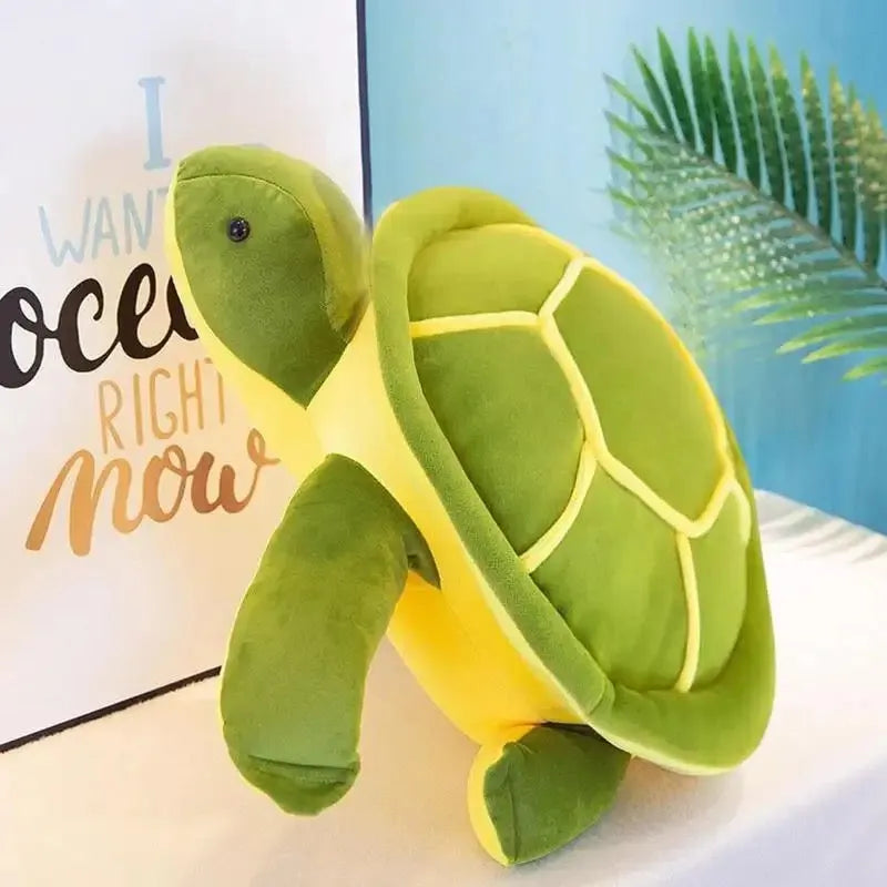 Buy Lovely Sea Turtle Plush Toys In Pakistan 